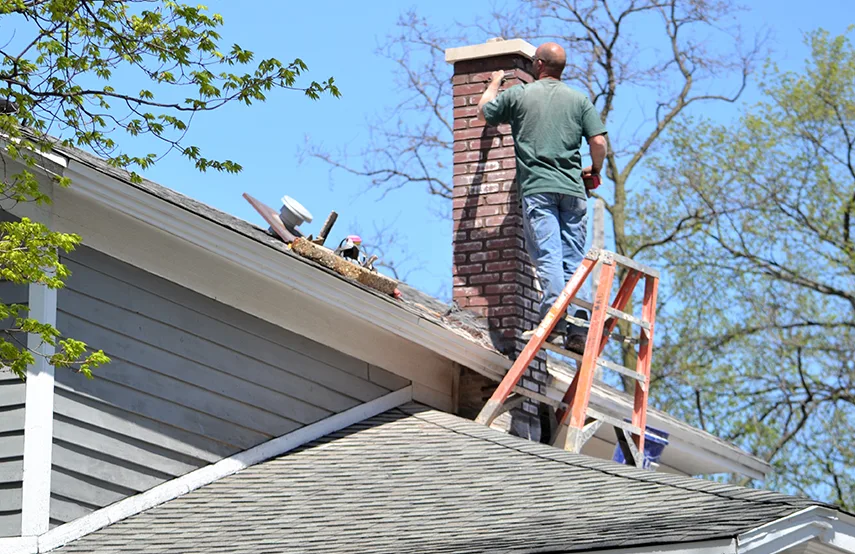 Chimney & Fireplace Inspections Services in Dublin, GA